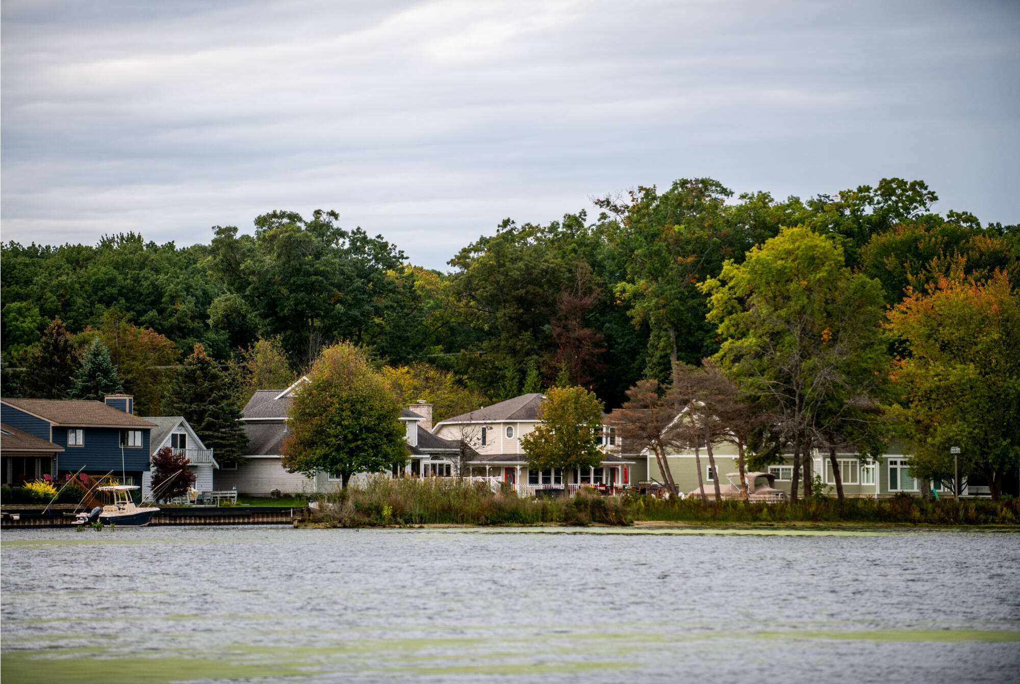 houses surrounded by trees on the shore of a lake